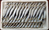 送料無料 愛知 豊浜産 まると水産 真いわし 丸干し 2kg （50匹前後）無添加 自社製造