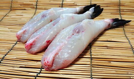 【送料無料】愛知県 冷凍 天然 とらふぐ 身欠 500g 4-7匹 から揚げ 鍋 刺身 小虎河豚 トラフグ