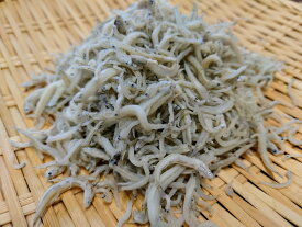 新物 訳あり 愛知県産 無添加 しらす干し 1kg 不揃い ちりめん ご飯 ごはん