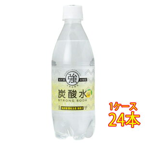 友桝飲料 強炭酸水 レモン 500ml 24本 Pet 水 ミネラルウォーター 炭酸水 価格比較 価格 Com