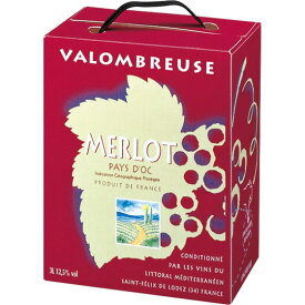 ジャンジャン メルロー 赤 BIB バッグインボックス 3000ml 4本 フランス ラングドック・ルーション 赤ワイン コンビニ受取対応商品 ヴィンテージ管理しておりません、変わる場合があります ケース販売 お酒 父の日 プレゼント