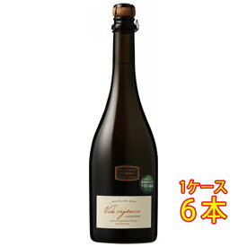 ヴィダ・オーガニカ スパークリング ブリュット / ズッカルディ 白 発泡 750ml 6本 サッポロビール オーガニック アルゼンチン メンドーサ スパークリングワイン ヴィンテージ管理しておりません、変わる場合があります ケース販売