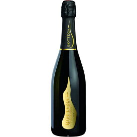 ボッテガ ヴィーノ・デイ・ポエーテイ プロセッコ 白 発泡 750ml イタリア ヴェネト スパークリングワイン スプマンテ コンビニ受取対応商品 ヴィンテージ管理しておりません、変わる場合があります お酒 母の日 プレゼント