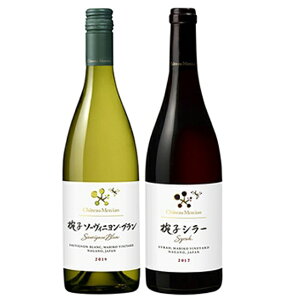 쌧c ueBbNCi[oqB[h V oq \[Bju&V[  CZbg 750ml 2{ C ԃC {B̂ݑ  Ε v[g