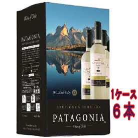 パタゴニア ソーヴィニヨン・セミヨン 白 BIB バッグインボックス 2000ml 6本 チリ マウレ・ヴァレー 白ワイン コンビニ受取対応商品 本州のみ送料無料 ヴィンテージ管理しておりません、変わる場合があります ケース販売 お酒 父の日 プレゼント