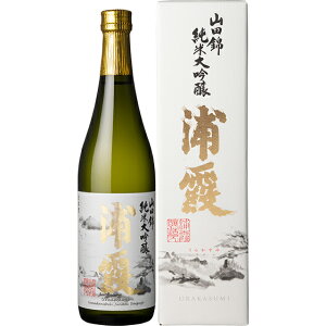 Y 炩 Rc đ 720ml ϔ {錧 ЍY { RrjΉi y  hV̓ v[g