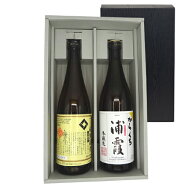 【父の日ポイント10倍】 日本酒 飲み比べセット 宮城といえばこの蔵元 一ノ蔵＆浦霞 辛口 720ml（四合瓶…