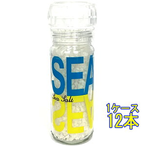 スパイスアップ シーソルト 瓶ミル付 110g 南アフリカ共和国 食塩 調味料 コンビニ受取対応商品 お酒 お歳暮 プレゼントトデー プレゼント