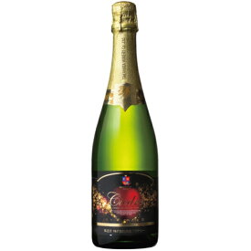 高畠ワイナリー シードル 甘口 発泡 果実酒 750ml 山形県 日本 国産 スパークリング りんご コンビニ受取対応商品 ヴィンテージ管理しておりません、変わる場合があります お酒 父の日 プレゼント