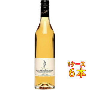 GIFFARD Wt@[ JrAEpCibv 20x 700ml R[g[R[|[V tX L[ RrjΉi Ε v[g