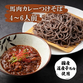 父の日 母の日 ギフト 信州 つけそば 馬肉 カレー 送料無料 600g 蕎麦 そば つけ蕎麦 ギフト プレゼント薬味付 田舎そば 田舎蕎麦 生そば 生蕎麦 カレー蕎麦 そば カレー 馬肉 そばつゆ 生麵 高級 国産 無添加 そばギフト 蕎麦ギフト 内祝い 引っ越し