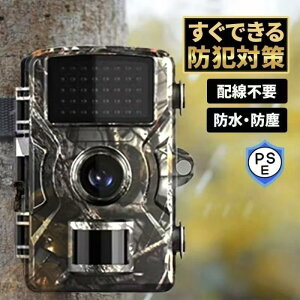 hƃJ gCJ ƒp O CX dr 1600f j^[t Hsv dsv ^ OJ Ď Î h ho lZT[