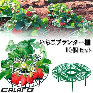 C`SI C`S v^[ I 10Zbg 10cm cI 䕕cI ͔|I xI |x  xI C`S v^[I x