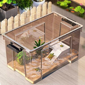 Tp T ^vX`bN ^JP[X Tpi J̉ƃJP[W gJQ P[W ঒ރeE^N P[X