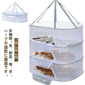 y1i 2i 3iz         lbg Oi  lbg    lbg ܂肽