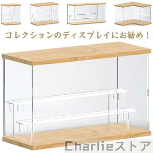 ANP[X  Wp RNVP[X tBMAP[X 傫 tBMA[ h[ ͌^ W{bNX I   l`P[X