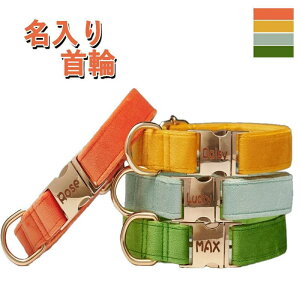 L    ӂӂ [hZbg XS?L TCYyzl[ qD D dbԍ ^b` obN ɂȂ ɗD 