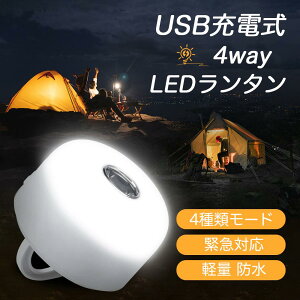 ランタン LEDランタン キャンプライト アウトドアライト 4点灯モード 小型 電球色/昼白色 軽量 充電式 キャンプ 吊り下げ 車中泊 登山 マグネット式