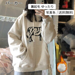 p[J[ fB[X  vg t[ht gbvX JWA  N   ꂢ 