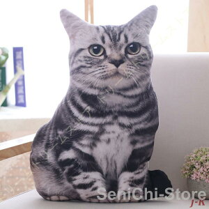 �L ���A�� ���� �傫�� 50cm �T�C�Y CAT �ʂ������ �u���e�B�b�V���V���[�g�w�A�[ �A�����J���V���[�g�w�A ���g�� �� ������ �ʂ�����ݕ�����