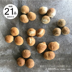 Ăґe[u[Zbg 퉷֍Y Ⓚp vdl ˒s 7 21Zbg  lߍ킹  ۑH H H꒼   Ε 