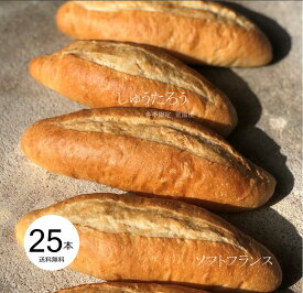 焼きたてソフトフランス 冷凍便国産 冷凍パン プロ仕様 業務用 工場直送 手作り バインミー（ベトナム風サンドイッチ） 送料無料 フランスパン サンドイッチ ラスク ホットドッグ コッペパン サンドイッチ パニーニ ホットサンド
