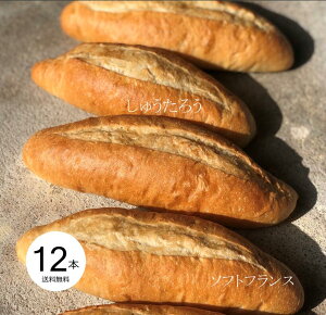 ソフトフランス 12国産 冷凍パン プロ仕様 業務用 工場直送 手作り バインミー（ベトナム風サンドイッチ） 送料無料 フランスパン サンドイッチ ラスク ホットドッグ コッペパン サンドイッ