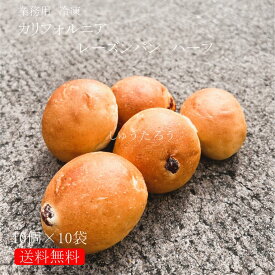 業務用 焼きたてカリフォルニアレーズンパン ハーフ　冷凍便業務用 国産 冷凍パン プロ仕様 八戸朝市発 朝食 保存食 夜食 常備食 工場直送 手作り 送料無料 レーズンパン