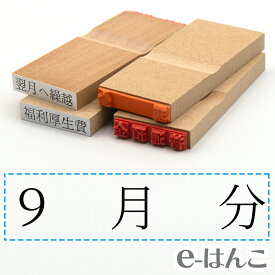 【 ゴム印 】科目印 『 9月分 』 6×24mm 木製台木 【店頭受取対応商品】 会計 確定申告 青色申告 白色申告 出納長 簿記 帳簿 日計表 わかりやすい 既製品