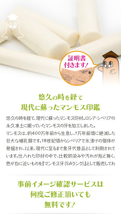 楽天市場】【印鑑】マンモス牙（SAランク）認印・銀行印 印面12.0mm 