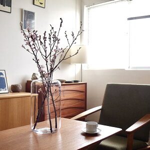 Affari of sweden ASTON Vase ԕr t[x[X KX 傫 20cmx36cm  k ^ Ԋ ی^ } Vv ϗtA _ 傫 CeA hCt[  T[N