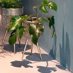 ZUIVER/DUTCHBONE vgX^h Jo[ MTCY t[X^h AeB[N CeA S[h  G X ϗtA k  boho 