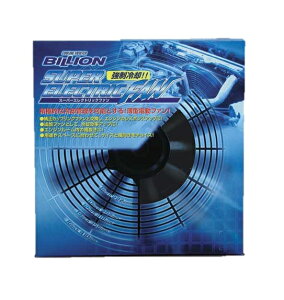 BILLION(ビリオン)スーパーエレクトリックファン 14インチ PUSH