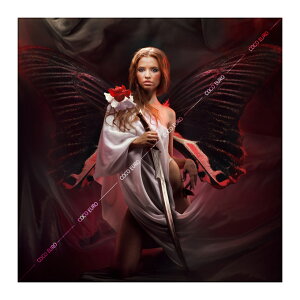 �y�}���\������N�[�|���z �G�� ���_�� PLEXIGLAS Butterfly wings 120cmx120cm �㎿�ŃX�^�C���b�V���Ȉ�ۂ�^����ǖʑ��� �C���e���A�A�[�g�p�l��