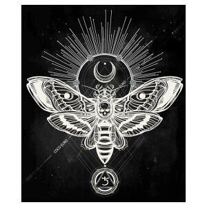 �y�}���\������N�[�|���z �G�� ��^ ���� PLEXIGLAS Hawk moth SIZE mm 900*1070 �� SymbolArt �V���{�� �f�U�C�� �ǖʑ��� �G �ǊG ���E���W VIP���[��