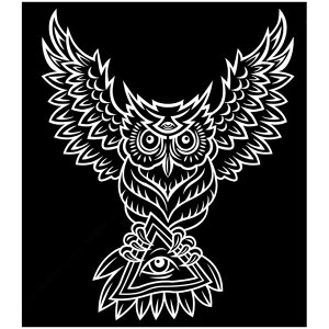 �y�}���\������N�[�|���z �G�� ��^ ���� PLEXIGLAS Illuminati owl SIZE mm 1330*1520 �� SymbolArt �V���{�� �f�U�C�� �ǖʑ��� �G �ǊG ���E���W VIP���[��