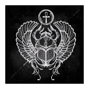�G�� ��^ ���� PLEXIGLAS Scarab SIZE mm 1000*1000 �� SymbolArt �V���{�� �f�U�C�� �ǖʑ��� �G �ǊG ���E���W VIP���[��