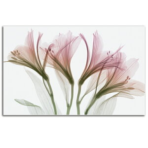 G    Alstmeria SIZE mm 1200*740  Ǌ| G ʐ^ CeA @ה gQ A[g ؍