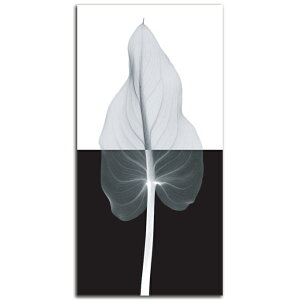 �G�� �c�� ���� �� Calla Leaf II SIZE mm 650*1350 ������� �Ǌ|�� �G �ʐ^ �C���e���A �@�ה� �����g�Q�� �A�[�g �؍�