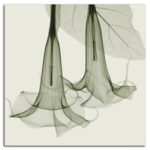 �y����N�[�|���z�z���z �G�� ���� �� Datura SIZE mm 590*590 ������� �Ǌ|�� �G �ʐ^ �C���e���A �@�ה� �����g�Q�� �A�[�g �؍�