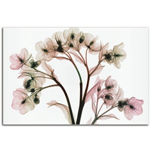 y12/4N[|z yyVLO1ʊlzG    HelleboreII SIZE mm 1200*740  Ǌ| G ʐ^ CeA @ה gQ A[g ؍