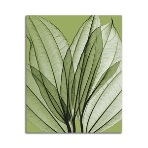 �G�� ��^ ���� �� Leaf Bouquet Green SIZE mm 800*1000 ������� �Ǌ|�� �G �ʐ^ �C���e���A �@�ה� �����g�Q�� �A�[�g