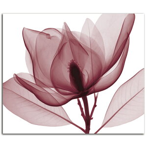 y}\N[|z G    Red Magnolia Lsize W1200mm H890mm  Ǌ| G ʐ^ CeA @ה gQ A[g ؍