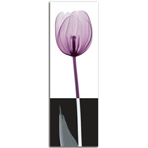 �G�� �c�� ���� �� Stem2 SIZE mm 280*880 ������� �Ǌ|�� �G �ʐ^ �C���e���A �@�ה� �����g�Q�� �A�[�g �؍�