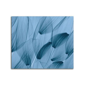 絵画 大型 高級 花 Tulip Petals Blue SIZE/mm 1000*800 おしゃれ 壁掛け 絵 写真 インテリア 繊細美 レントゲン アート