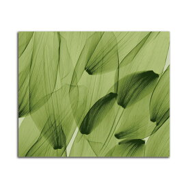 絵画 大型 高級 花 Tulip Petals Green SIZE/mm 1000*800 おしゃれ 壁掛け 絵 写真 インテリア 繊細美 レントゲン アート