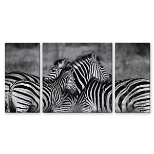 G CeA A[gpl ZEBRA MONO W100cm H50cm D2cm 3Zbg V}E} mN Vv ȕǊ| 傫ȃTCY _ItBX A[gM[ Vv_ȋ