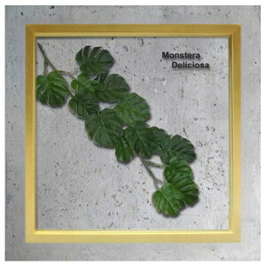 [tpl VFi`t[ t̃zCgy[p[2ʂ̃C[Wo CeA O[A[g ForestDeco Monstera Deliciosa3 Xe  ؍