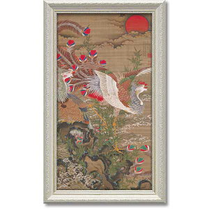 yBLACK FRIDAYN[|z A[gpl h̗ǂt[ G ɓtuP}v SZ a  TVGS