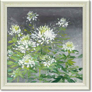 A[gpl Ǌ| CeA ut@[nEX NIvȔ ԑ  WAvg SZ  TVGN